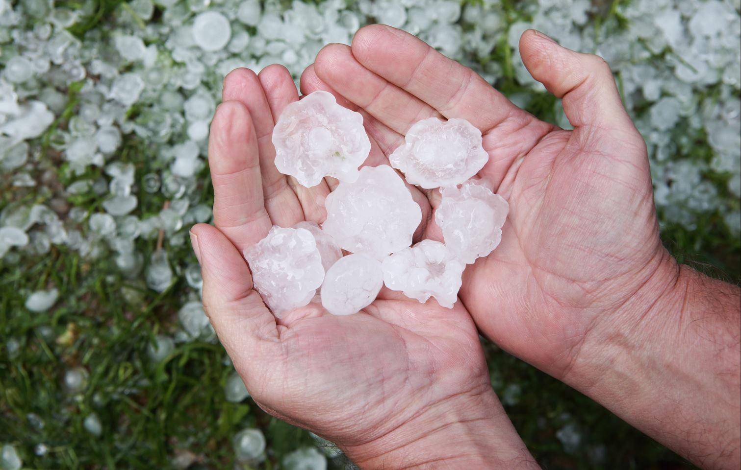 Your Home Has Been Hit By Severe Hail: Now What?